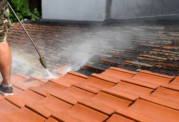 Why Choose Our Certified Pressure Washing Experts for Your Project Needs in Hallsville, TX?