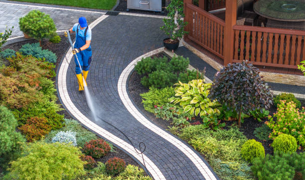 Best Roof Pressure Washing  in Hallsville, TX